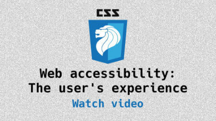 Link to Web accessibility: the user's experience video