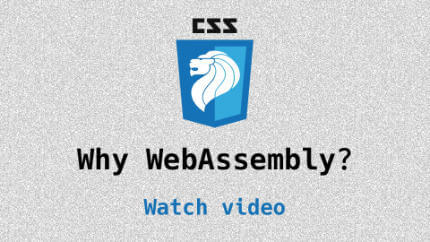 Link to Why Web Assembly? video