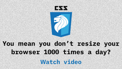 Link to You mean you don't resize your browser 1000 times a day? video